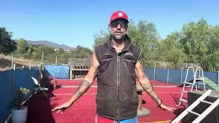 DOG TRAINING THAT WORKS