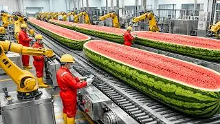 Inside a Massive Watermelon Factory: How Millions of Melons Become  Sweet Juice