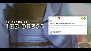 The Dress Turns 10: Tumblr’s Cates Holderness on Unraveling the Internet
