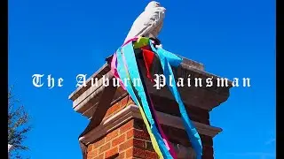 Roll Toomer's Rainbow