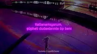 The Tech Thieves - Fake [Türkçe Çeviri]