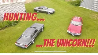 S5:Episode5-A Tale Of Two Kitties Part 1-The Hunt For The Legendary Unicorn.