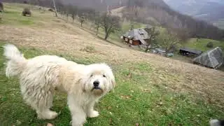 Barsana, Maramures 2024 4x4