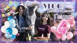VLOG / День Рождения Гоши
