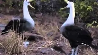 Приколы над людьми! Убоиныи юмор! Смех до слез!