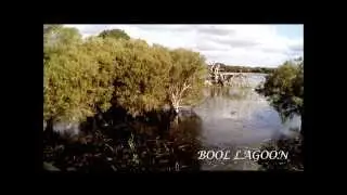 Sweet Waters: A visual interpretation of Bool Lagoon, South Australia
