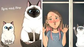 “What It’s Like To Have A Cat” 40 Illustrations By This Artist