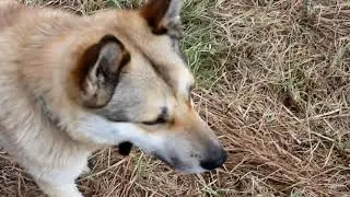 Поход на рыбалку на озера за 550 км. Архивное видео.