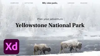 Live UI/UX Design with Martha Bergmann - 1 of 3 | Adobe Creative Cloud