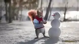 Белки поздравляют с Новым годом!