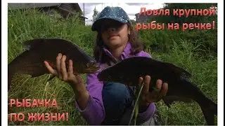 Крупная рыба на малой речке! Рыбачка по жизни!