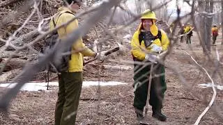 Colorado Firecamp