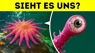 100 Tierfakten, die ich in den dunklen Ecken des Internets gefunden habe