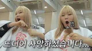 보낼 때가 됐나봅니다••• [사망한 머릿결 보내주는 숏단발 VLOG] 0zoo 영주