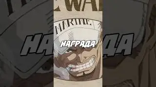 AKAINU'S BOUNTY HAS BEEN REVEALED! 