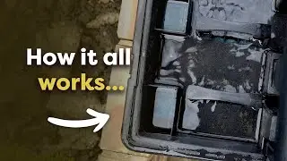 What is a Pond Filter and What Does it Do?