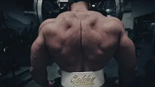 Hot Pump - Chest x Back