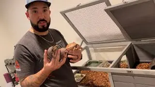 Aivituvin The Best Enclosure for Box Turtles and Tortoises