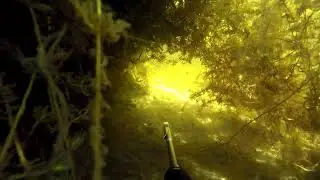 Каспийское море глазами подводного охотника