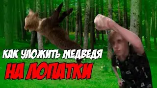 ПО СЛЕДАМ МЕДВЕДЯ ГРИЗЛИ - УРОК ВЫЖИВАНИЯ В ДИКИХ УСЛОВИЯХ