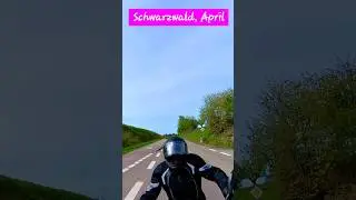 Schwarzwald, April, BBW R 1250GS, 14. April 2024