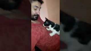 zeyno ile mino 🙂#cat #kedi #shorts
