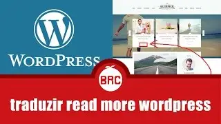 traduzir read more wordpress