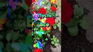 С добрым утром! #доброеутро#сдобрымутром#музыкальноепожелание#открытка#shortsvideo#доброгоутра
