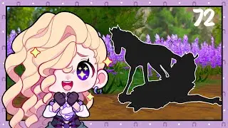 My Silver Peacock Pegasus Breeding Project - Star Equestrian [72]