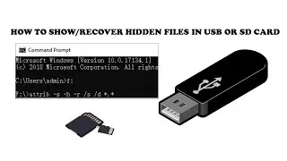 Pen Drive virus shortcut remover