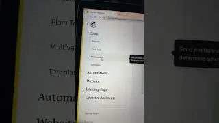 How to do an AB test in Mailchimp - email marketing- Emily Ryan 