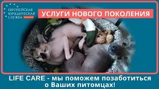 Здоровье питомцев| Как сохранить здоровье наших питомцев