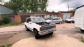 Курцхаар - автопёс! Оживление старого американца.
