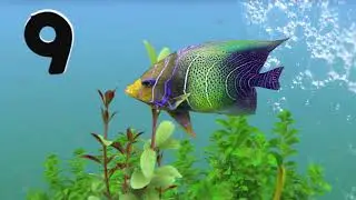 TEN LITTLE FISHES