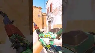 AK vs M4A1 S in CS2.