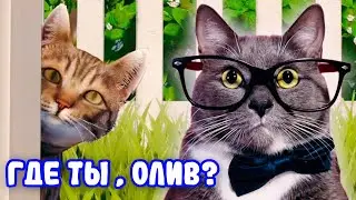 ОЧЕНЬ КРУТОЙ ФИНАЛ! ГЕННАДИЙ ИГРАЕТ В COPYCAT!
