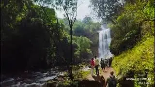 హెబ్బే జలపాతం💚💜💙💛Hebbe Falls🌴🌳💦Chikmagalur Famous Hill Station Kemmangundi Karnataka #hebbefalls