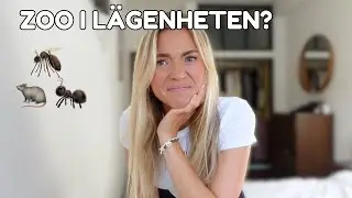 VI HAR FÅTT BESÖK | Det är personligt nu