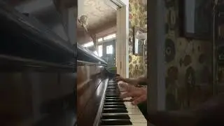 I call it Counterbop #piano #jazz