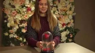 Роза в колбе из 
