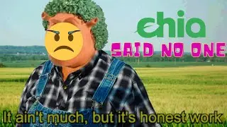Chia Coin one of 2021s biggest letdowns