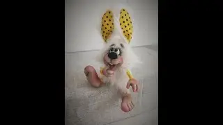 Заяц ТыЩ