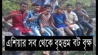 The biggest Banyan tee of asian - এশিয়ার সব থেকে বড় বট বীক্ষ - কালিগণ্জ ।