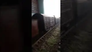 Локомотив 2GP9 с грузовым составом.