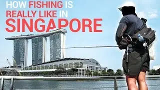 Illegal Fishing In Singapore