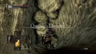 Quelaag more like I hate her