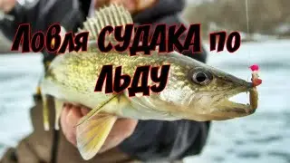 Winter Pike Perch Fishing. How, Where, and What to Use to Catch Pike Perch on Ice in Winter.