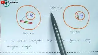 Retrovirus mediated Gene transfer | RMGT | procedure | Bio science
