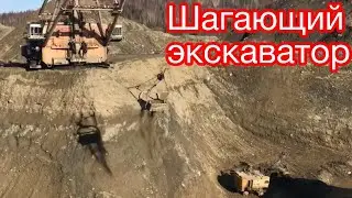Шагающий экскаватор ЭШ. Добыча золота в карьере.