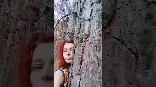 Осеннее